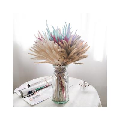 China Delicate& Color Stable in Best Quality Dry and Dyed Flower Arrangement in Foxtail for Home Decor and Office Decor for sale