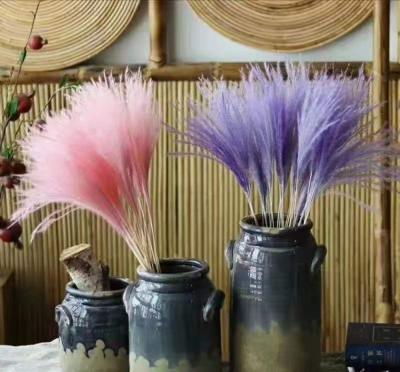 China Delicate& Color new 2021 Stable hype Reed Flower Eternal Flowers for home decoration and office decoration for sale