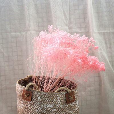 China Delicate& Color Stable Best Quality Dream Grass Floral Picks For Home Decoration And Window Display for sale