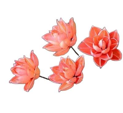 China Delicate& Color stable natural style new Lotus Flower Handmade Dried Flower 2021 for home decoration and shooting props for sale