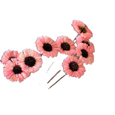 China Delicate& Cool Color Stable Style The Best Quality Dried Flower Gerbera For Home Decoration And Shooting Props for sale