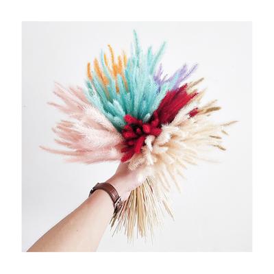 China Delicate& Color New 2021 Dry Stables And Dyed Foxtail Craft Floral Birthday Party For Home Decorating And Shooting Props for sale