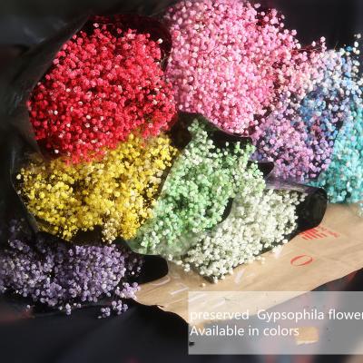 China Delicate& Color Stable The Best Gypsophila Artificial Flowers Hanging Decoration For Home Decoration And Office Decoration for sale