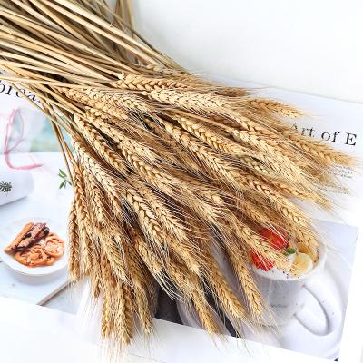 China Delicate& Color stable shop owners recommend hot natural dry wheat decoration products yellow wheat bouquet packaging for sale