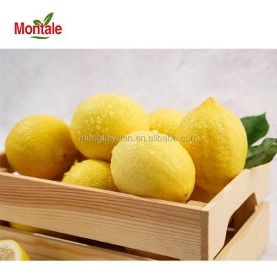 China High Nutritious Fresh Citrus Lemon Lime Yellow Fresh Color for sale