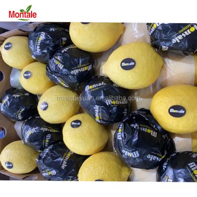 China High Nutritious Montale Fresh Fruit Yellow Lemon Lime Anyue Classic Lemon Famous All Over The World for sale