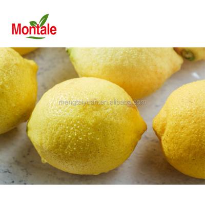 China Fresh Chinese Montale Fresh Yellow Lemon for sale