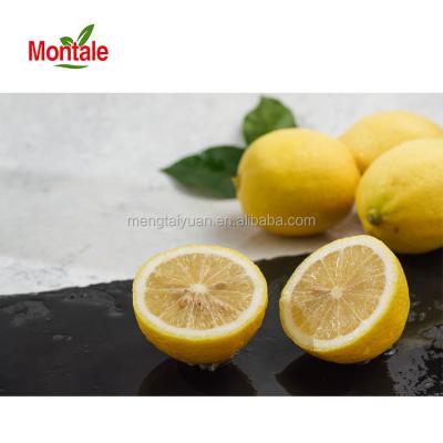 China Vitanmin Fresh Eureka Lemon Welcome To China World With Great Popularity for sale