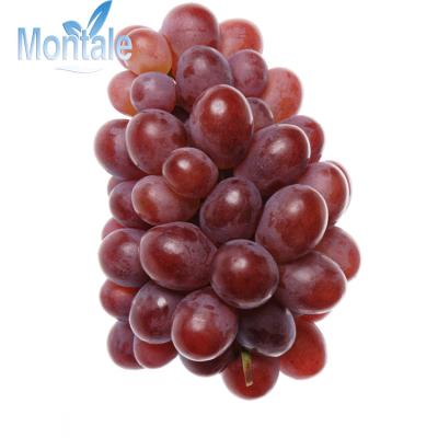 China Quality Natural Premium Taste Fresh Organic Fresh Red Grapes for sale