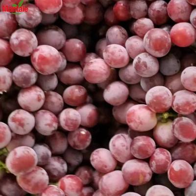 China Natual Fresh Red Global Seeded Grapes Bulk Best Quality Wholesale Low Price for sale