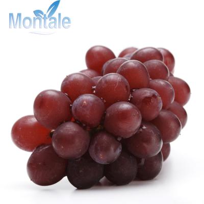 China Factory natural wholesale fresh fruit sweet red grape for sale