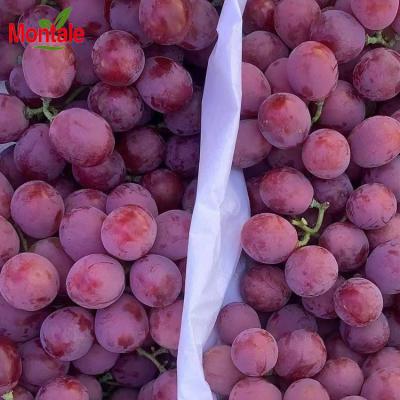 China Natual Wholesale Fresh Red Color High Quality Grapes for sale