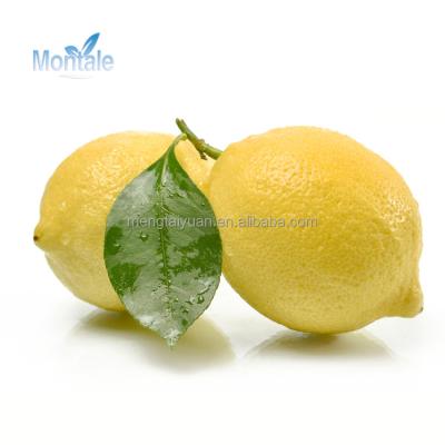 China Factory direct supply OEM/ODM fresh healthy Montale fruit healthy organic lemon for sale