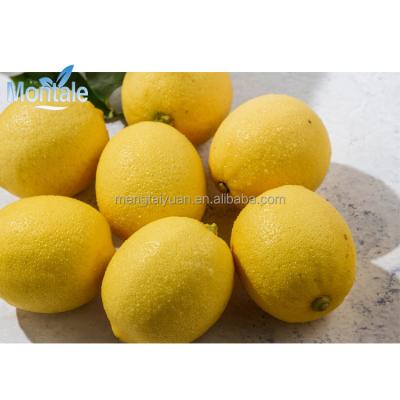 China High Nutritious Montale China Lemon For Sale Organic Lemon for sale