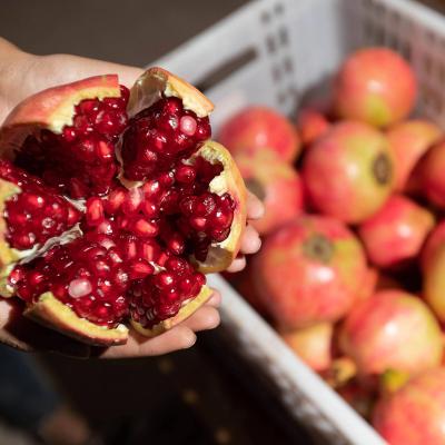 China Fresh Pomegranate Fruit Supplier Fresh Quality Premium Tasty Nutritious Fruit New for sale