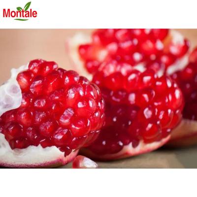 China Rich Vitamin Factory Supply Delicious Pure Fresh Taste Pomegranate Fruit for sale