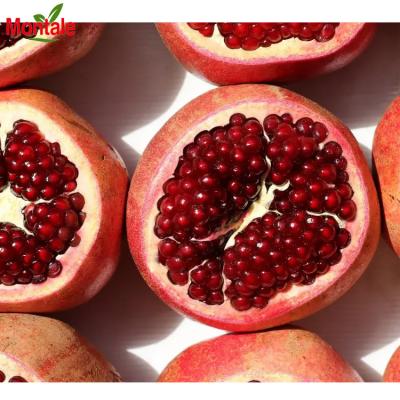 China Farm fresh fruit price healthy juicy pomegranate for sale