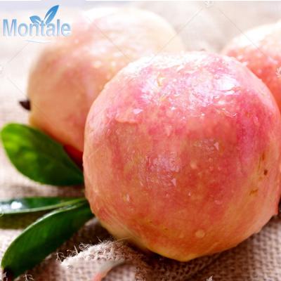 China New Fresh Organic Culture Cultivation Rich In Water Fresh Red Pomegranate for sale