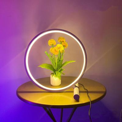 China Nodic RGB Circle Usb Light Color Changing Bedroom Bar Home Decor Led CCT RGB Minimalist Table Lamp for sale