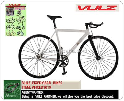 China Aluminum Alloy 700CAA FIXED SPEED BIKES 101920 (Single SPD - AL7005 Frame) for sale