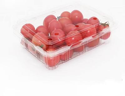 China Taiyu Disposable Plastic PET Blister Tray With Lid And Air Holes For Packing Fresh Fruit Products for sale