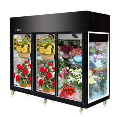 China Luxury Single-temperature CE Approved Glass Door Three Flower Chiller Refrigerator for sale