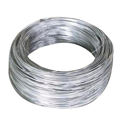 China Binding Wire 10 Gauge Galvanized Iron Steel Wire For Garden Binding Wire for sale