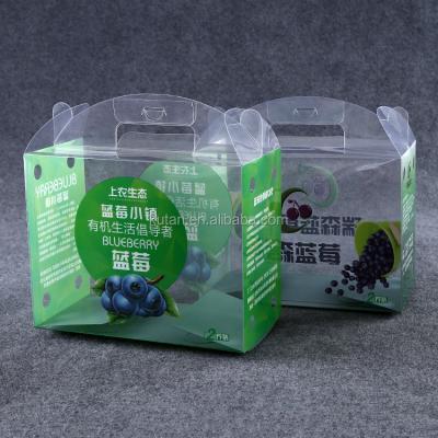 China Recycled Materials Transparent Plastic Fruit Packaging Boxes For Blueberry Packaging With Handle for sale