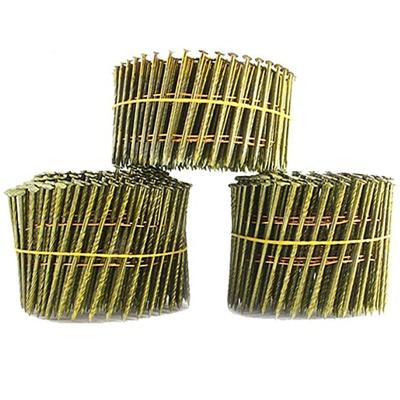 China Flat Paddle Coil Nail Iron Wire Coil Nails For Pneumatic Nailer Wood Paddles Coil Nails for sale