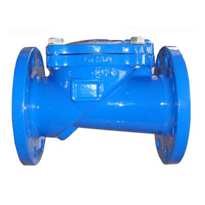 China Bs5153 General Malleable Iron Valve Non Return for sale