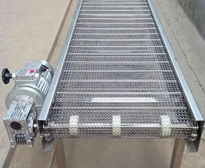 China 3C factory manufacture sushi stainless steel diameter chain idler roller conveyor for sale