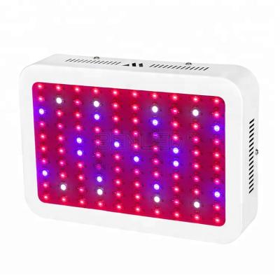 China New Fruit Vegetable Greenhous Flower Full Spectrum Plant / Led Growing Light 1000W for sale