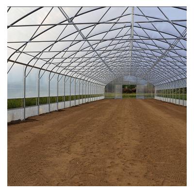 China Flowers Vegetable Strawberry Fruit Greenhouses Agricultural Metal Frames for sale