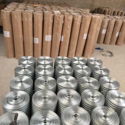 China electro galvanized hot dipped galvanized 1/2