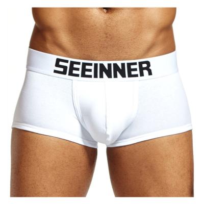 China Fashion Breathable Custom Classic Underwear Men Trunks Boxer Basic Boxer Shorts Male Shorts for sale