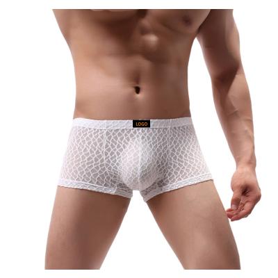 China Breathable Custom Lace Boxer Trunks Sexy Transparent Mesh Underwear Boxer Shorts Male Shorts for sale