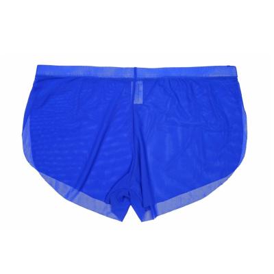 China Breathable Custom Boxer Trunks Sexy Transparent Boxer Shorts Mesh Men's Boxers for sale