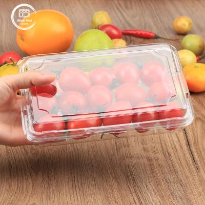 China Recyclable Clear Plastic Clamshell Containers for Fruits & Vegetables Secure Lock & Stackable Design for sale