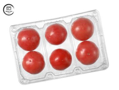 China Einweg-Blasen-Tomaten Einweg-Fruchtbehälter 6 Stück rechteckiger Kunststoff für die Verpackung zu verkaufen