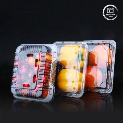 China OEM/ODM Clamshell Disposable Fruit Tray And Vegetable Containers Clear PET Plastic Food Grade for sale