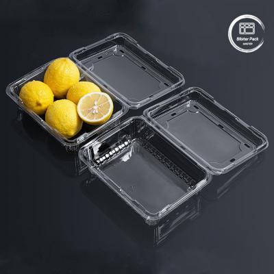 China Clear Plastic Clamshell Food Containers for Fruit Vegetable and Meat Packaging for sale