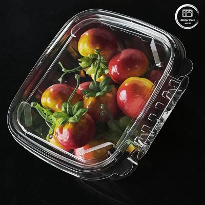 China Eco Friendly 16 & 24 Oz Salad Containers with Attached Lids Disposable for Fresh Produce for sale