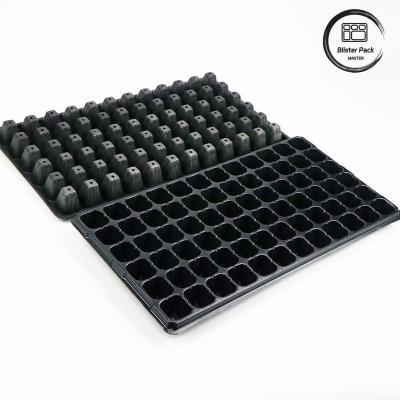 China Heavy Duty 128 Cell Grape polystyrene seed trays Durable Seed Starter and Sprouter Kit for sale