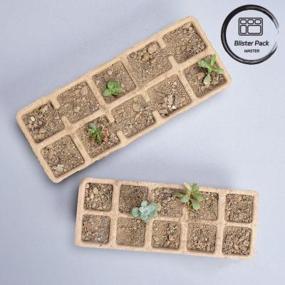 China 10 & 12 Cell Biodegradable Seed Starter Trays for Efficient Nursery Plant Growth for sale