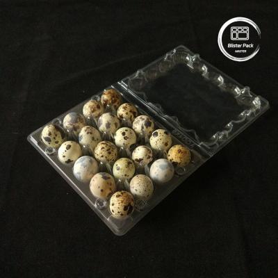 China Affordable PET Clear Plastic Egg Trays with Lid 20 24 30 Cells for Disposable Quail for sale