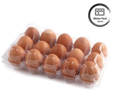 China 15 Cell Hinged Clamshell Clear Plastic Egg Trays Secure Thermoformed Plastic Shipping Trays for sale