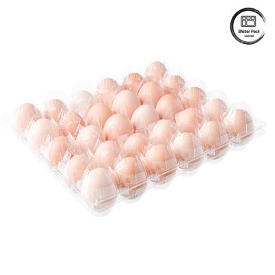 China Vacuum Formed 30 Egg Storage Trays Disposable Transparent PET Plastic Containers for sale