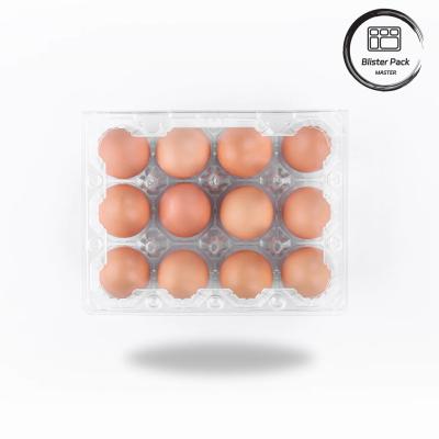 China 3x4 Clear Plastic Egg Containers Customized Hot Selling Plastic Egg Cartons for sale