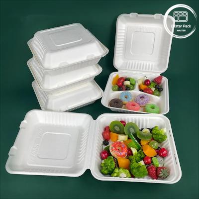 China 100% Sugarcane Bagasse 9x9 Clamshell Recyclable Takeaway Boxes Home Compostable 1 Compartment for sale