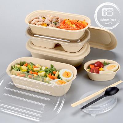 China Biodegradable 2 Compartment Bagasse Sugarcane Bento Box - Sustainable Disposable Takeaway Food Container for sale